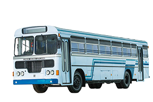 Home viking bus